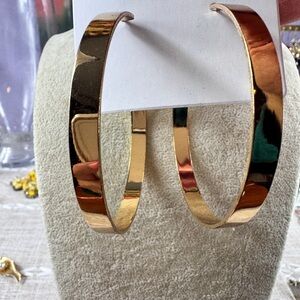 Big Gold Hoop Earrings
